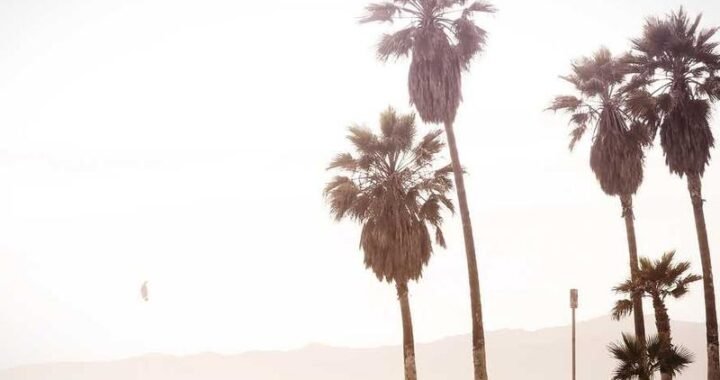 Cómo saber si necesitas más leads o mejor cierre (sin adivinar)