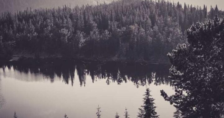 Remarketing para leads que no respondieron: estrategia para recuperar oportunidades