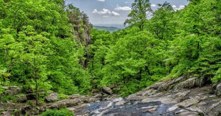 Errores comunes en remarketing que queman presupuesto y cómo evitarlos