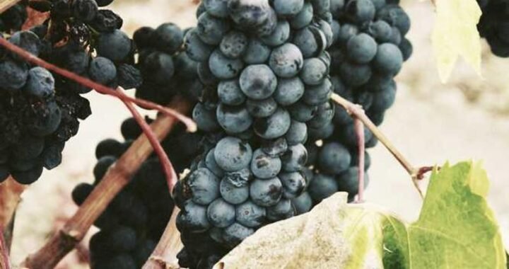 Cómo medir si tu remarketing está funcionando: métricas que sí importan